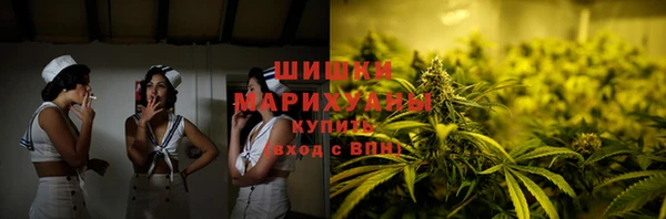 прущие грибы Белокуриха