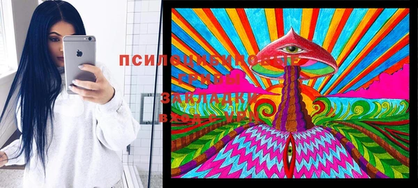 прущие грибы Белокуриха