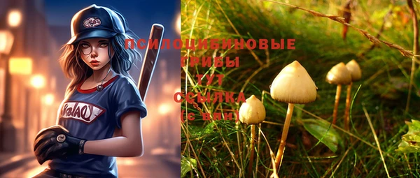 дживик Беломорск