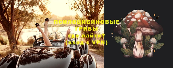 дживик Беломорск