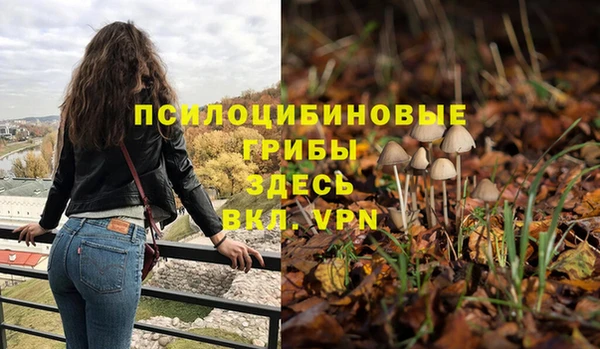 не бодяженный Баксан