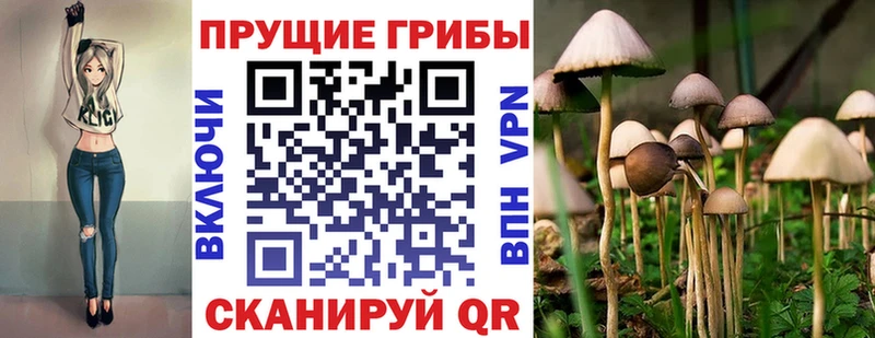 Купить закладки  Кохма  Псилоцибиновые грибы MAGIC MUSHROOMS 